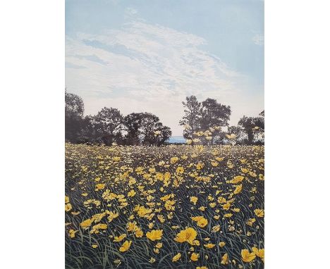 After Graham Evendon (20th century school)Coloured print artist's proof"Marsh Marigolds", signed and titled within margin, 42