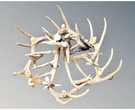 A deer antler six-way light fitting.