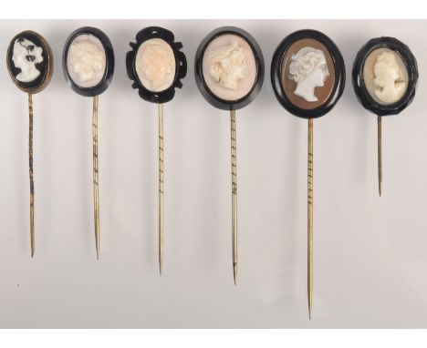 Six stick pins each with a cameo finial.