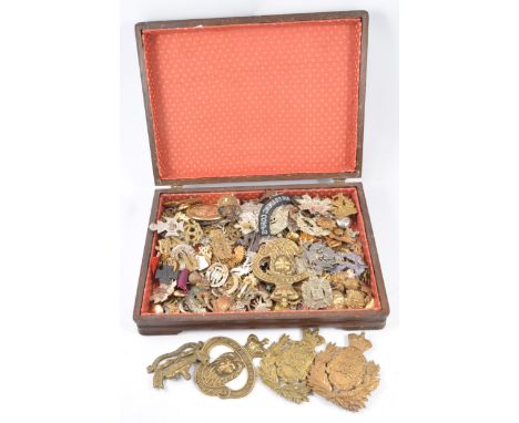 Large collection of Regimental cap badges and helmet plates.
