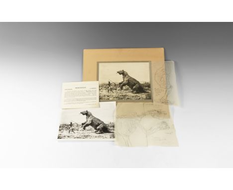 Circa 1930.   A monochrome photograph on card backing of the Megatherium model in naturalistic setting, with pencilled notati