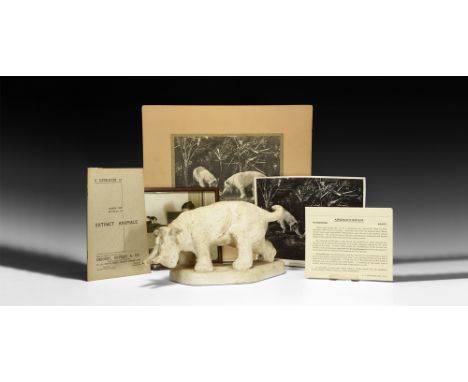 Circa 1935.   A plaster model Arsinoitherium advancing on an irregular base with head lowered; a monochrome photograph on a c