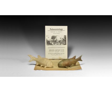 Circa 1930.   A pair of plaster fish models, one with grey-brown painted surface; an untitled preparatory sketch; pamphlet Pa