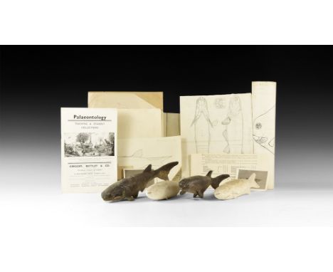 Circa 1930.   A group of two plaster painted models of Cheirolepis, two unpainted of Pharyngolepis, and another fish; two mon