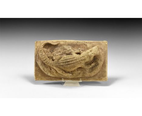 Circa 1930.   A master model in surface-treated plaster of a crocodile basking on a mudflat on a textured rectangular base; t