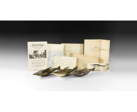 Circa 1930.A group of three surface-treated models of Pteraspis, one with dorsal spines, lateral fins and painted detailing; 