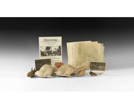 Circa 1930.A mixed group comprising: two plaster model Diplacanthus, one with metal armature protruding from the fins; two mo