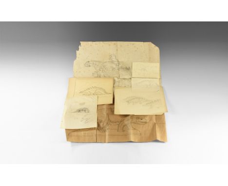Circa 1930. A mixed group of drawings comprising: large preparatory sketch of Polacanthus in plan view; large preparatory ske