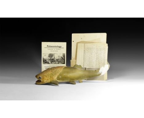Circa 1930.A painted plaster model of Coccosteus with plaster repairs to the tail and fins; two monochrome photographs on glo