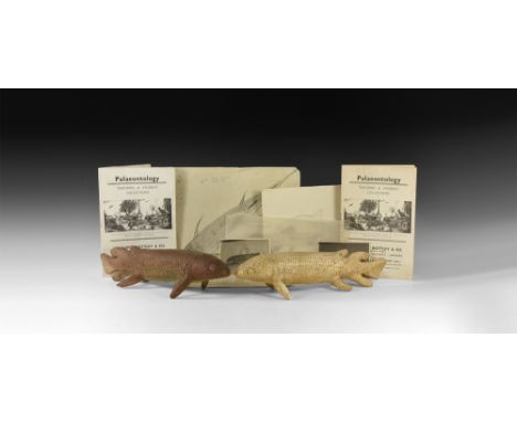 Circa 1930.   A pair of surface-treated plaster Dipterus models; six preparatory sketches for Dipterus and other fish models 