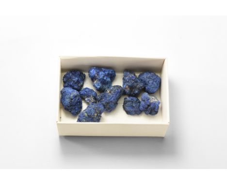 A group of ten azurite nodules from Arizona, USA; in old white card tray. See Bonewitz, Dr. Ronald Louis, Rocks & Minerals, 2