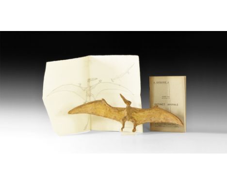 Circa 1930. A master model in surface-treated plaster of a Pteranodon with wings extended; preparatory pencil sketch of Rhamp