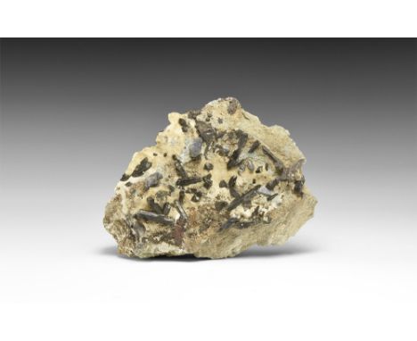 An unusually fine group of benitoite crystals on matrix from the classic San Benito, California, USA, locality, in white card
