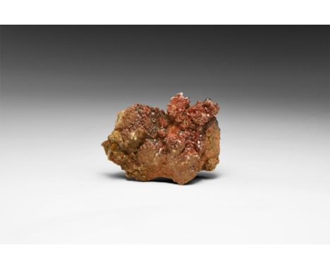 A specimen of numerous orange vanadinite crystals on a groundmass of limonite, from Arizona, USA; in old white card tray. See