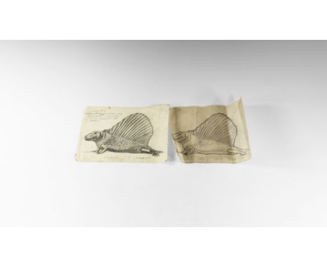 Circa 1930. Two preparatory pencil sketched for production of a model Dimetrodon, one on paper with colour notes, the other o