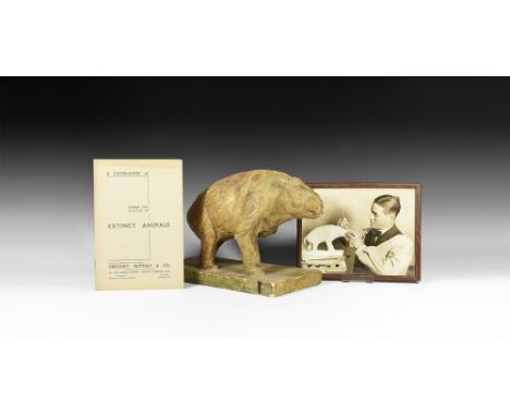 Circa 1930.   A surface-treated plaster model of Diprotodon, an extinct giant Wombat from Australia, on a rectangular base; p