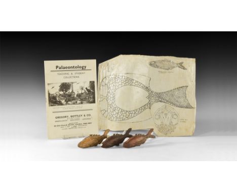 Circa 1935.A group of three surface-treated plaster models of Birkenia, one with repair to the tail; an inked production draw