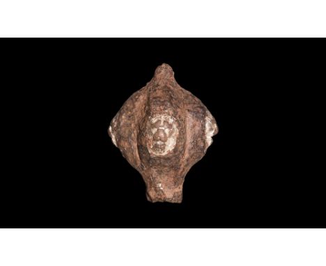 Late 15th century AD.A tubular 'Type R' pommel with four lateral bulb extensions, each with a silvered lion's face to the ape