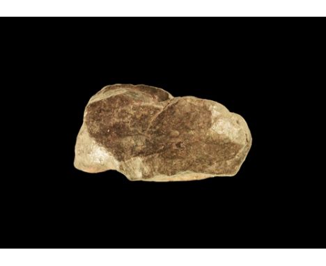 A large piece of one of the most interesting Chondrites found in northwest Africa; a much studied meteorite, classified vario
