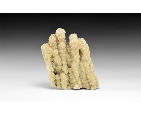 A highly unusual occurrence of fluorite, with cubic crystals forming 5 parallel grown stalactites; in old white card tray. Se