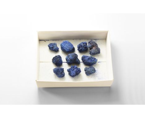 A group of ten azurite nodules from Arizona, USA; in old white card tray. See Bonewitz, Dr. Ronald Louis, Rocks & Minerals, 2