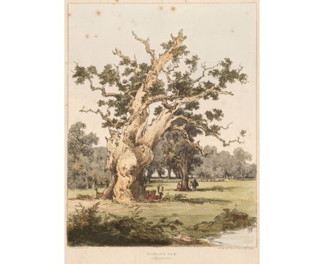 Francia (François Louis Thomas). Progressive Lessons Tending to Elucidate the Character of Trees, with the process of sketchi