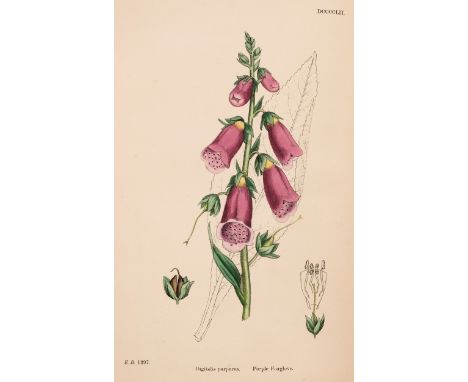 Sowerby (John Edward). English Botany; or Coloured Figures of British Plants, 13 volumes, including Supplement, 3rd edition, 