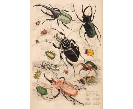 Macgillivray (William). The Edinburgh Journal of Natural History, and of the Physical Sciences, 2 volumes (1835-39 &amp; 1839