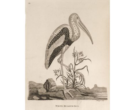 [Pennant, Thomas]. Indian Zoology, 2nd edition, London: Henry Hughs for Robert Faulder, 1790 [1791], title with engraved vign