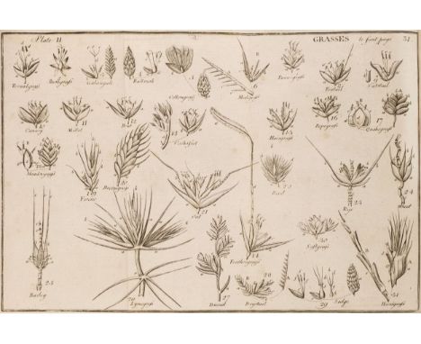 Macgillivray (William). The Natural History of Dee Side and Braemar, edited by Edwin Lankester, London: Printed for Private C