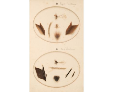 Edmonds (Harfield H., &amp; Norman N. Lee). Brook and River Trouting. A Manual of Modern North Country Methods with Coloured 