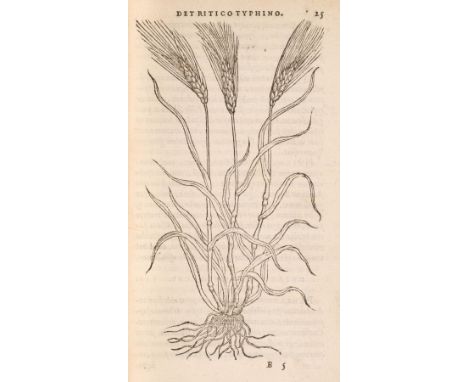 Dodoens (Rembert). Historia frumentorum, leguminum, palustrium et aqutilium herbarum ac eorum, quae eo pertinent, 2nd revised