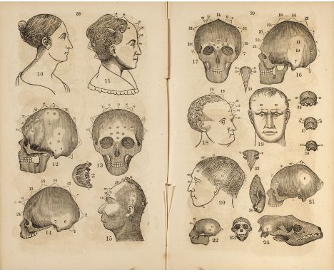 Fowler (Orson Squire). Fowler's Practical Phrenology: Giving a Concise Elementary View of Phrenology; Presenting some New and