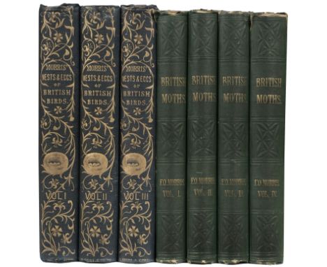 Morris (Francis Orpen). A Natural History of the Nests and Eggs of British Birds, 4 volumes, 2nd edition, London: George Bell