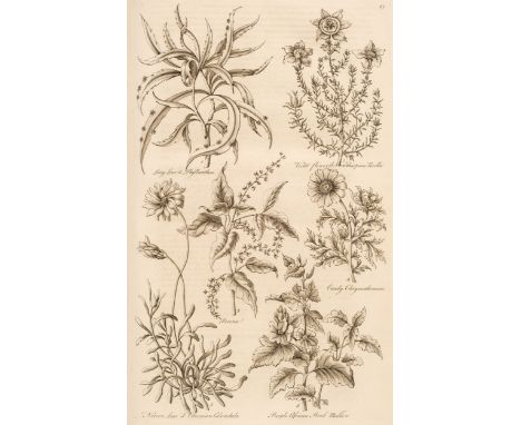 [Hill, John]. Eden: or a Compleat Body of Gardening, containing plain and familiar directions for raising the several useful 