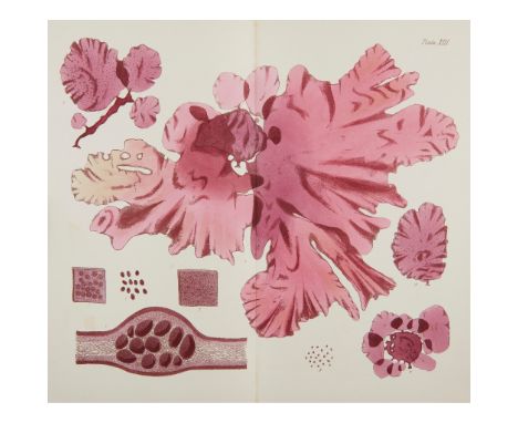 Harvey, William Henry Phycologia Britannica or, a History of British Sea-Weeds... London: Reeve and Benham, 1846-51. 4 volume