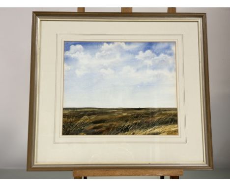 Jim Nicholson (British 1924-1996), Caithness Landscape, watercolour, signed and dated 1983 bottom right, in a glazed frame. (