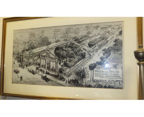 AFTER HAROLD OAKLEY "Wills & Seager Royal Exotic Nursery and Floral Establishment Onslow Crescent South Kensington London SW"