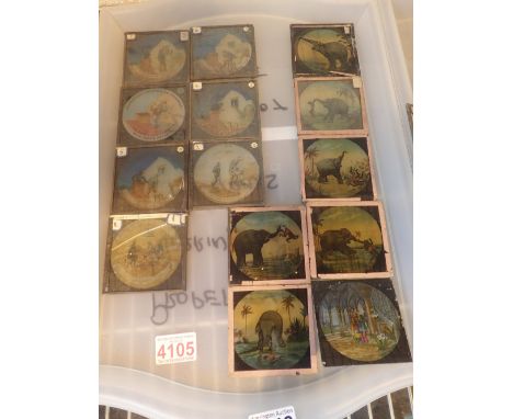 Colour Magic Lantern slides, Sweep, Whitewash and elephants, fourteen in total