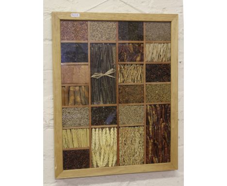A light oak framed display case containing twenty two varaities of seeds and spices.