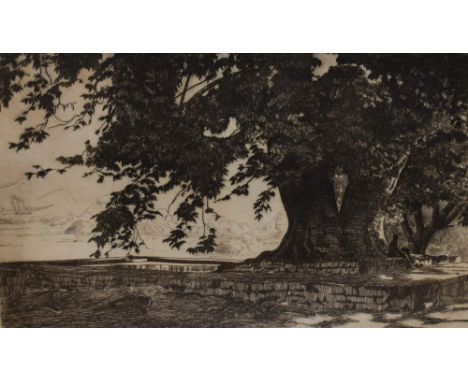 R.Sulker (19th/20th Century), etching, Chevan Tree, signed to the margin, framed, mounted, and under glass, measuring 22cm x 