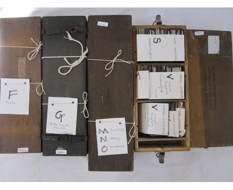 Quantity of lantern slides to include plants, rural life, abbeys, railway, miscellaneous, birds, insects and animals (4 boxes