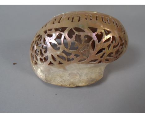 A Carved and Pierced Sea Shell, World War 1 Interest, Kings Shropshire Light Infantry.  Inscribed Dan 18th RB Andaman Islands