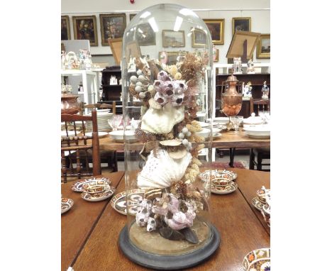 A glass dome with shell collage, 64cm tall