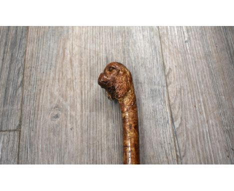 A well carved spaniel dog's head with glass eyes handle walking stick, 82cm long