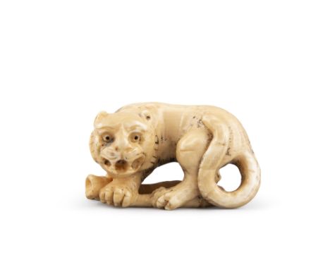 AN IVORY NETSUKE OF A CROUCHED TIGER, 18/19th century, signed, the animal modelled standing on a curled branch, 4.5cm long
