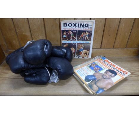 Sporteq best sale boxing gloves