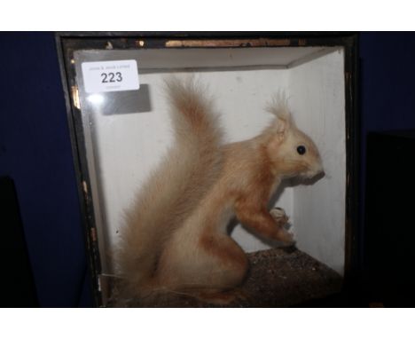 A red squirrel, by R Sadd, 9 1/2" high 