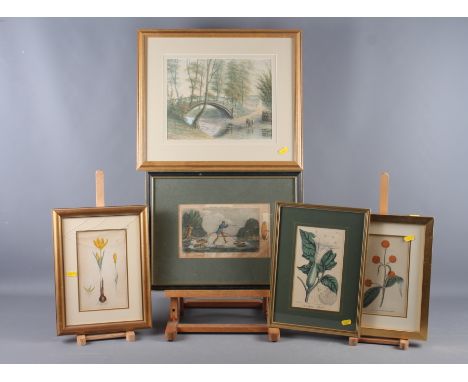 An early 19th century aquatint, "Aquatic Tripod", in Hogarth frame, three studies of plants and T S G, 1914: watercolours, ma