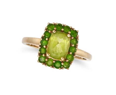NO RESERVE - A PERIDOT AND GARNET CLUSTER RING in 9ct yellow gold, set with a cushion cut peridot of 1.32 carats in a border 
